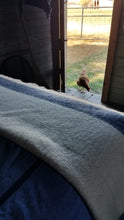 A Montana-Made Point Blanket Limited Edition 7th Run (Warp)