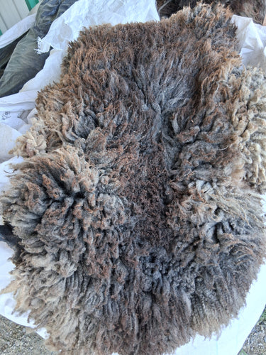 Locally Grown and Tanned Sheepskins