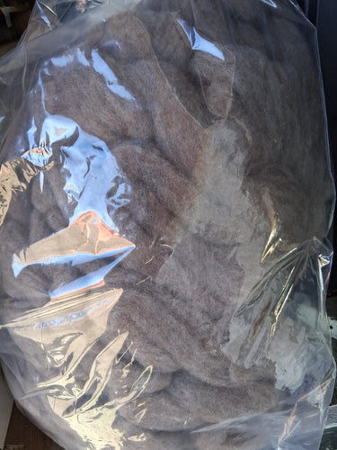 Soft Cocoa Brown Rambouillet Roving 1 lb bag