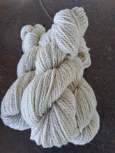 Crazy Sheep Women Blend