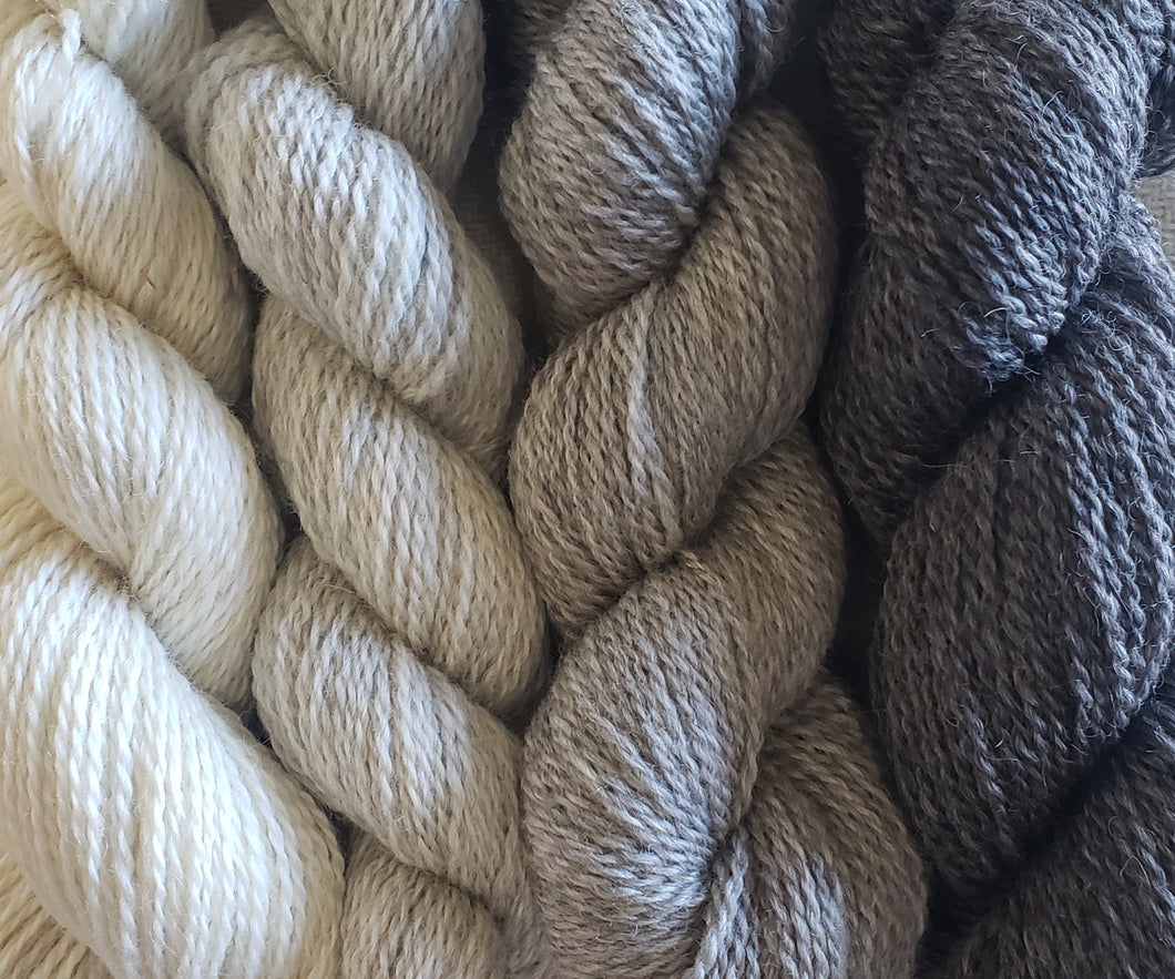 Romney/Gotland Worsted Yarn in 4 Natural Colors