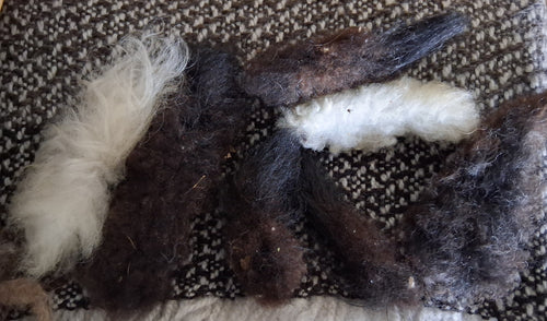 Cat Toys