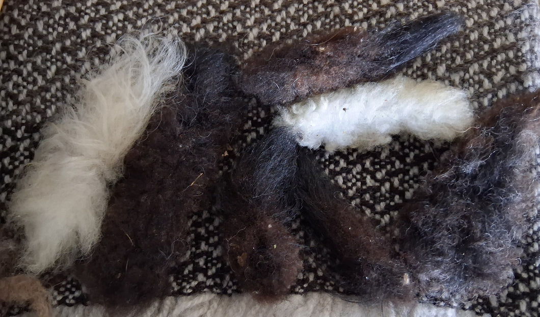 Cat Toys